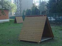 TO_scuola_via_Coppino147